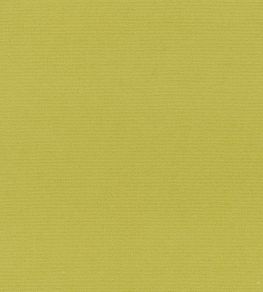 Madrid Fabric by Designers Guild Lime Madrid Fabric by Designers Guild Lime