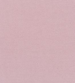 Madrid Fabric by Designers Guild Blossom