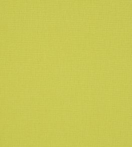 Manzoni Fabric by Designers Guild Chartreuse Manzoni Fabric by Designers Guild Chartreuse