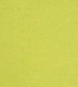 Manzoni Fabric by Designers Guild Pistachio