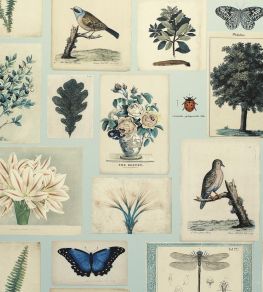 Flora And Fauna Wallpaper by Designers Guild Cloud Blue Flora And Fauna Wallpaper by Designers Guild Cloud Blue
