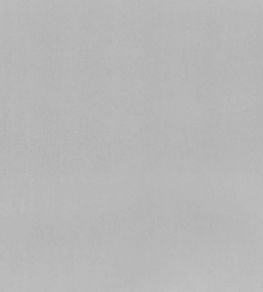 Tiber Fabric by Designers Guild Zinc Tiber Fabric by Designers Guild Zinc