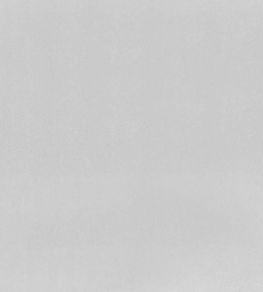 Tiber Fabric by Designers Guild Silver Tiber Fabric by Designers Guild Silver