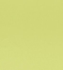 Tiber Fabric by Designers Guild Lime