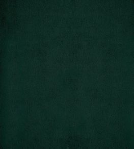 Velluto Fabric by Designers Guild Fir