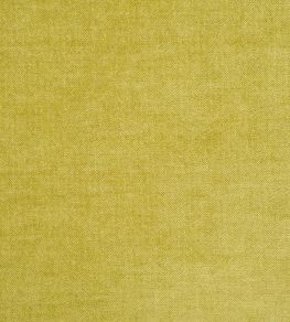 Zaragoza Fabric by Designers Guild Acacia Zaragoza Fabric by Designers Guild Acacia