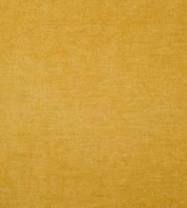Zaragoza Fabric by Designers Guild Dandelion Zaragoza Fabric by Designers Guild Dandelion