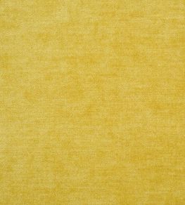 Zaragoza Fabric by Designers Guild Gold