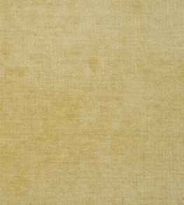 Zaragoza Fabric by Designers Guild Honey Zaragoza Fabric by Designers Guild Honey