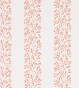 Dita Wallpaper by Jane Churchill Coral Dita Wallpaper by Jane Churchill Coral