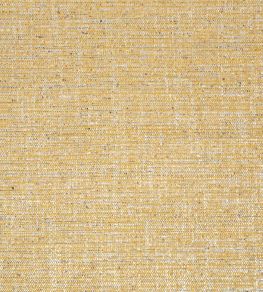 Elgin Fabric by Thibaut Dijon Elgin Fabric by Thibaut Dijon