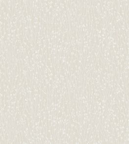 Elias Wallpaper by Borastapeter Sand Elias Wallpaper by Borastapeter Sand