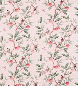 Ella Fabric by Harlequin Powder / Sage / Peach Ella Fabric by Harlequin Powder / Sage / Peach