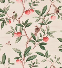 Ella Wallpaper by Harlequin Powder / Sage / Peach Ella Wallpaper by Harlequin Powder / Sage / Peach