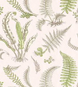 Elsie De Wolfe Wallpaper by Scalamandre Ballet Slipper Elsie De Wolfe Wallpaper by Scalamandre Ballet Slipper