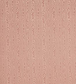 Elsworthy Fabric by Harlequin Rose Elsworthy Fabric by Harlequin Rose