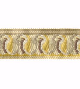Embroidered Braid 30mm Trimming by Houles Jaune Celeste