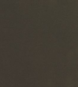 Encore Velvet Fabric by Osborne & Little Brown
