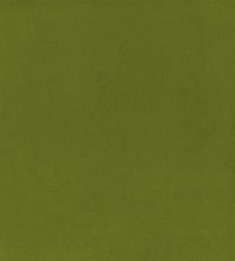Encore Velvet Fabric by Osborne & Little Frog
