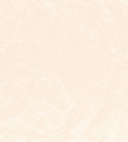 Enzo Fabric by Zinc Putty