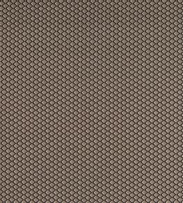 Equator Fabric by Clarke & Clarke Noir