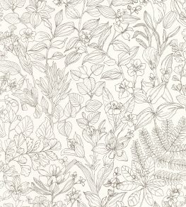 Esquisse Wallpaper by Casadeco Noir Gravure Esquisse Wallpaper by Casadeco Noir Gravure