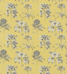 Etchings & Roses Fabric by Sanderson Empire Yellow Etchings & Roses Fabric by Sanderson Empire Yellow