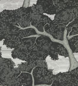 Eternal Oak Wallpaper by Harlequin Ebony / First Light Eternal Oak Wallpaper by Harlequin Ebony / First Light