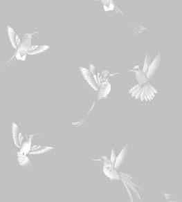 Exotic Birds Wallpaper by Brand McKenzie Concrete Grey Exotic Birds Wallpaper by Brand McKenzie Concrete Grey