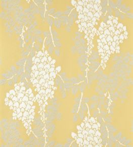 Wisteria Wallpaper by Farrow & Ball Yellow Ground Wisteria Wallpaper by Farrow & Ball Yellow Ground