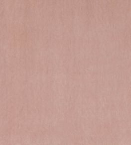 Faze Fabric by Kirkby Design Blossom Faze Fabric by Kirkby Design Blossom
