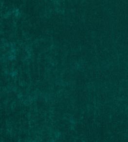 Faze Fabric by Kirkby Design Evergreen Faze Fabric by Kirkby Design Evergreen