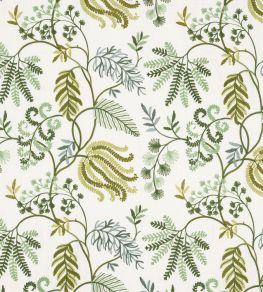Fern Tree Fabric by Colefax and Fowler Green Fern Tree Fabric by Colefax and Fowler Green