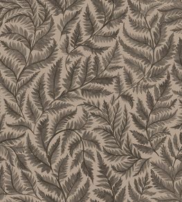 Ferns Wallpaper by Borastapeter Brown Ferns Wallpaper by Borastapeter Brown