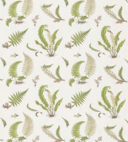Ferns Embroidery Fabric by GP & J Baker Green Ferns Embroidery Fabric by GP & J Baker Green