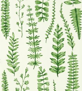 Ferns Wallpaper by Scion Juniper Ferns Wallpaper by Scion Juniper