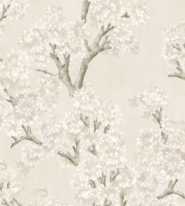 Field Maple Wallpaper by Coordonne Bone Field Maple Wallpaper by Coordonne Bone