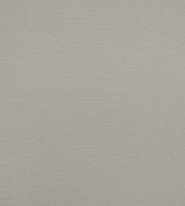 Flanders Fabric by Mark Alexander Silverbirch Flanders Fabric by Mark Alexander Silverbirch