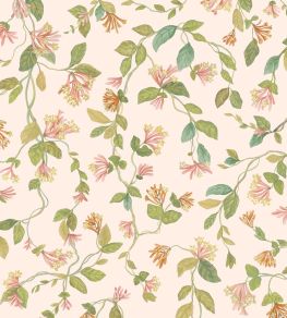 Flora Wallpaper by Cole & Son Tangerine & Olive on Blush Flora Wallpaper by Cole & Son Tangerine & Olive on Blush