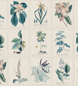 Flora Wallpaper by Sandberg Blue Flora Wallpaper by Sandberg Blue