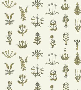 Floral Spot Wallpaper by Josephine Munsey Chaingate Green/Meadow