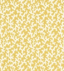 Folly Fabric by Schumacher Mimosa Folly Fabric by Schumacher Mimosa
