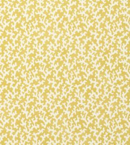 Folly Wallpaper by Schumacher Mimosa Folly Wallpaper by Schumacher Mimosa