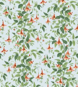 Fuchsia Wallpaper by Cole & Son Coral & Leaf Green on Powder Blue Fuchsia Wallpaper by Cole & Son Coral & Leaf Green on Powder Blue
