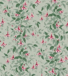 Fuchsia Wallpaper by Cole & Son Dusty Rose & Pale Sage on Soft Laurel Fuchsia Wallpaper by Cole & Son Dusty Rose & Pale Sage on Soft Laurel