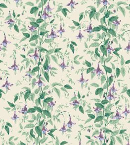 Fuchsia Wallpaper by Cole & Son Mauve & Sea Green on Cream Fuchsia Wallpaper by Cole & Son Mauve & Sea Green on Cream