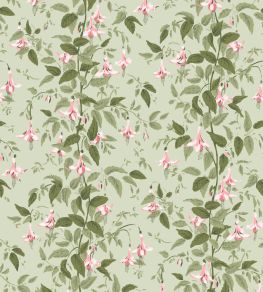 Fuchsia Wallpaper by Cole & Son Powder Pink & Olive on Soft Spring Green Fuchsia Wallpaper by Cole & Son Powder Pink & Olive on Soft Spring Green