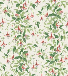Fuchsia Wallpaper by Cole & Son Rose Pink & Soft Green on Parchment
