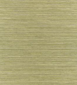 Gaetano Fabric by Zinc Cypress Gaetano Fabric by Zinc Cypress