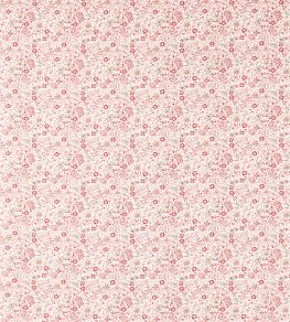 Gamthi Fabric by Clarke & Clarke Blush Gamthi Fabric by Clarke & Clarke Blush